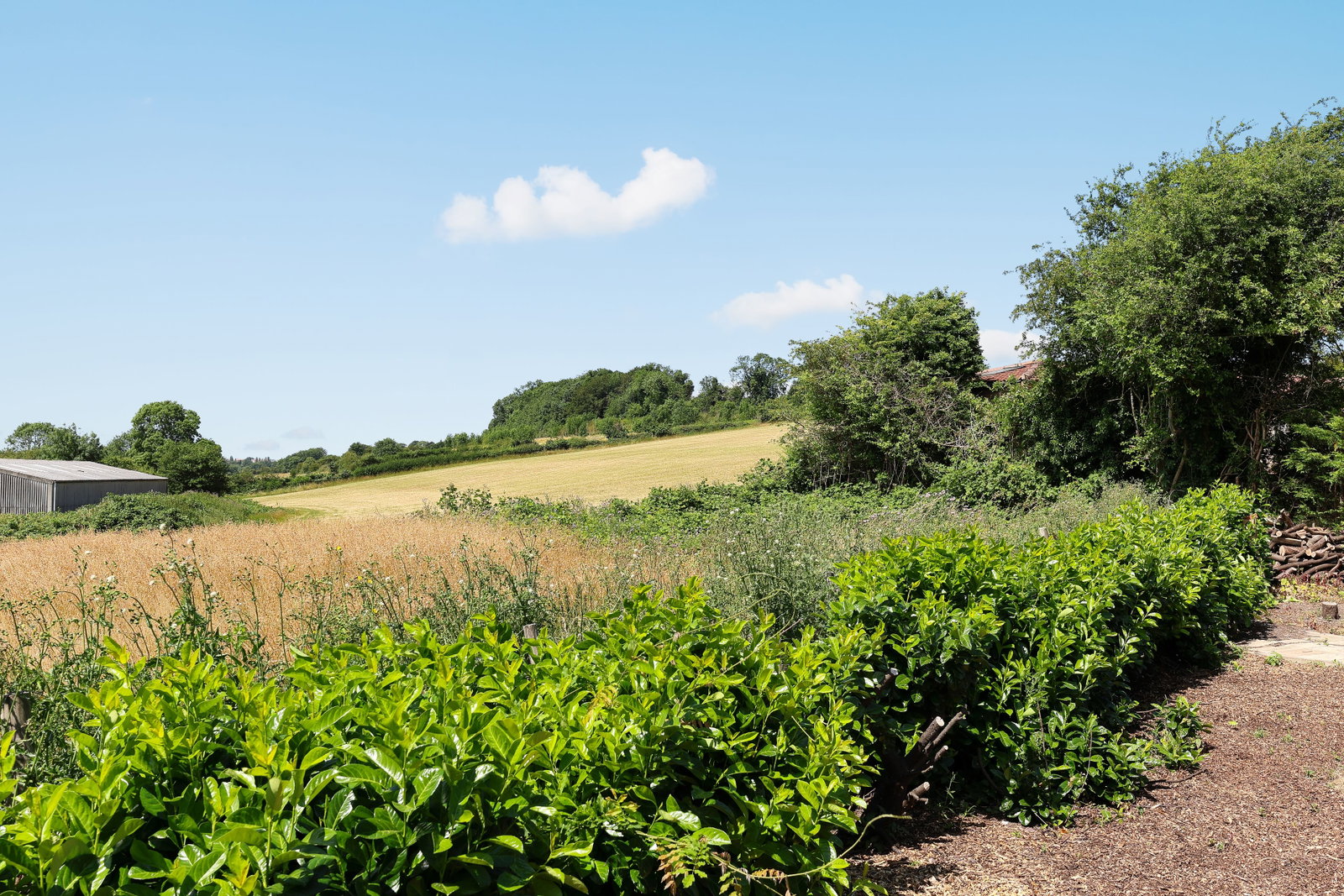 Greenfields, Hooton Lane, S25